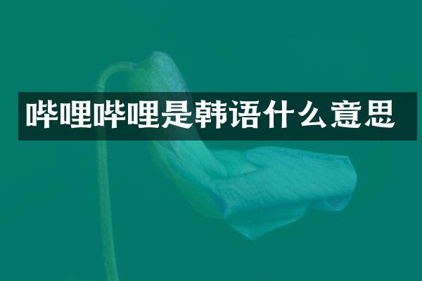 哔哩哔哩是韩语什么意思