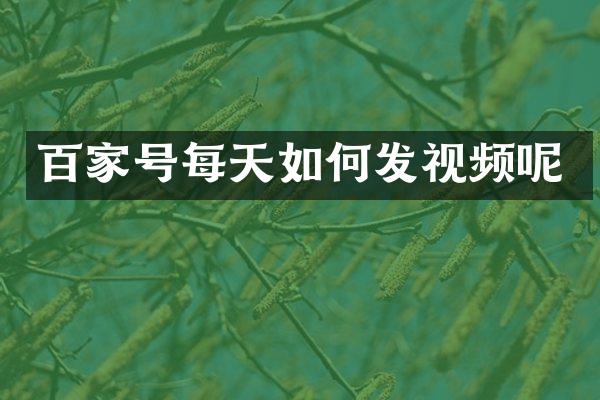 百家号每天如何发视频呢