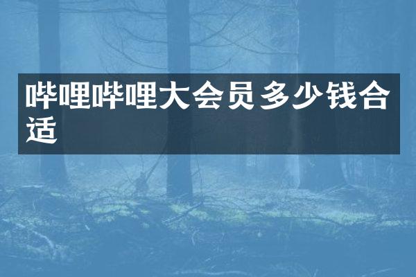 哔哩哔哩大会员多少钱合适