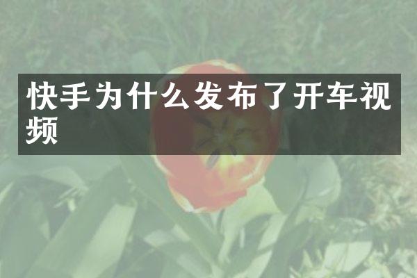 快手为什么发布了开车视频