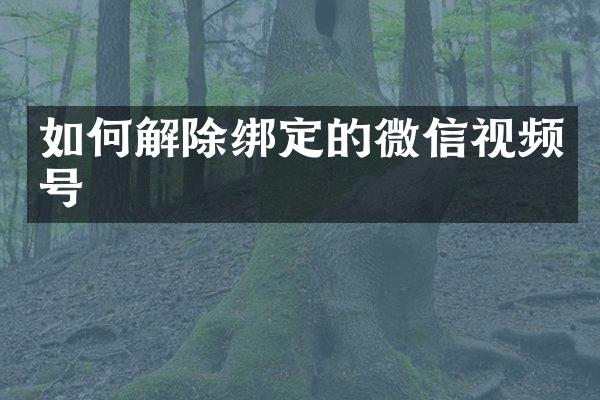 如何解除绑定的微信视频号