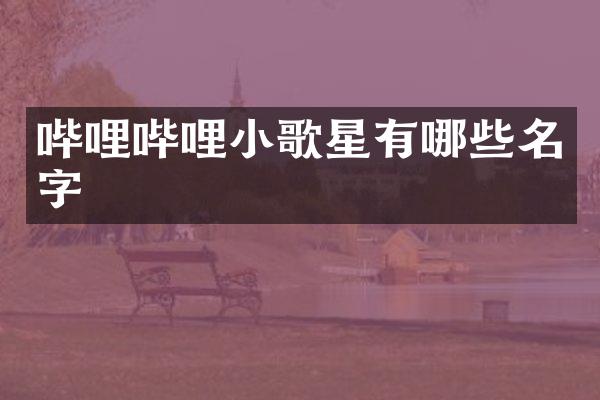 哔哩哔哩小歌星有哪些名字