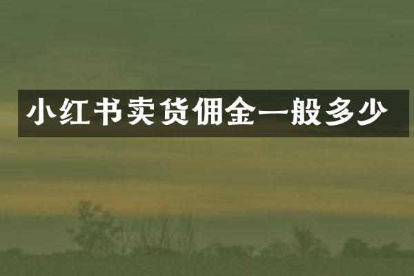 小红书卖货佣金一般多少