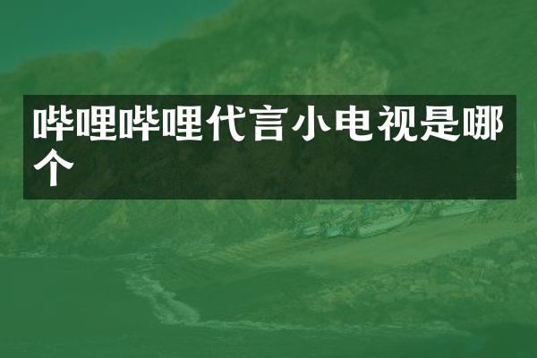 哔哩哔哩代言小电视是哪个