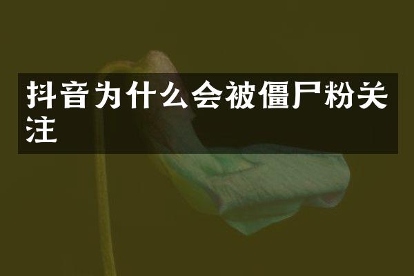 抖音为什么会被僵尸粉关注