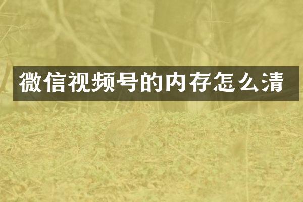 微信视频号的内存怎么清