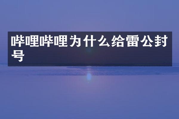 哔哩哔哩为什么给雷公封号
