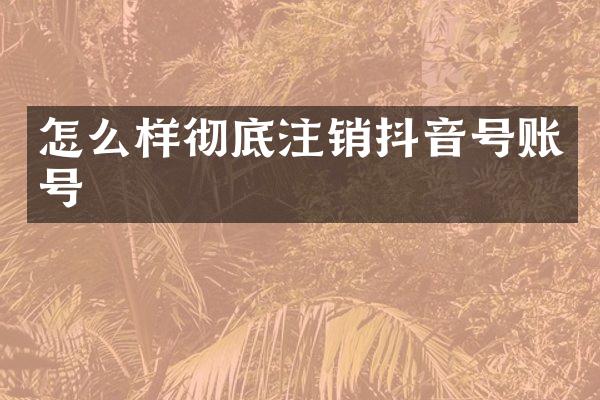 怎么样彻底注销抖音号账号