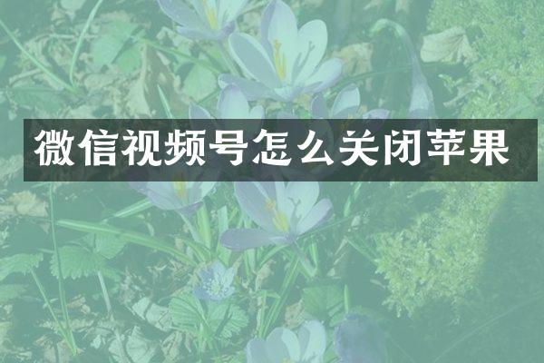 微信视频号怎么关闭苹果