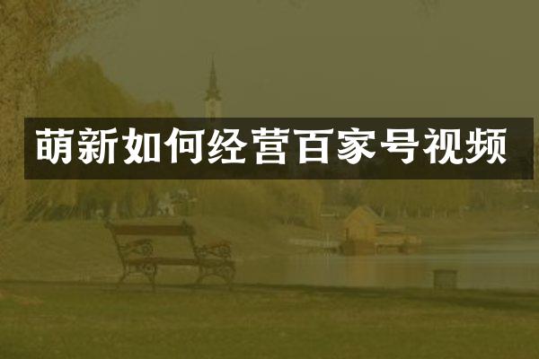 萌新如何经营百家号视频
