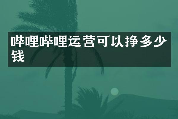 哔哩哔哩运营可以挣多少钱