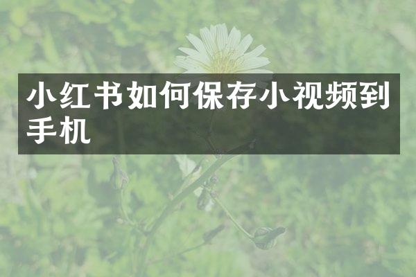 小红书如何保存小视频到手机