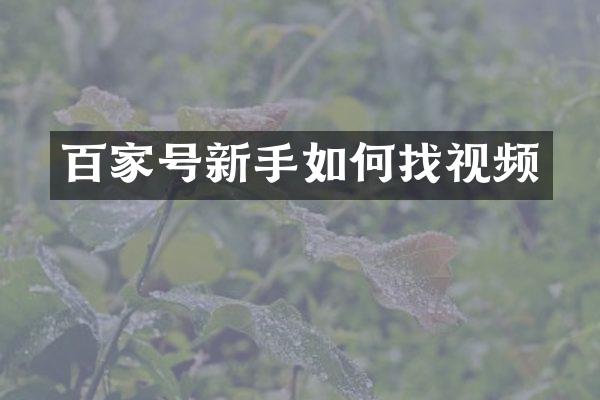 百家号新手如何找视频