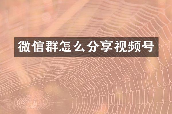 微信群怎么分享视频号
