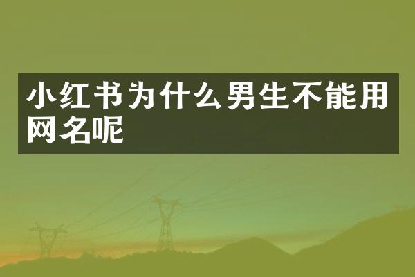 小红书为什么男生不能用网名呢