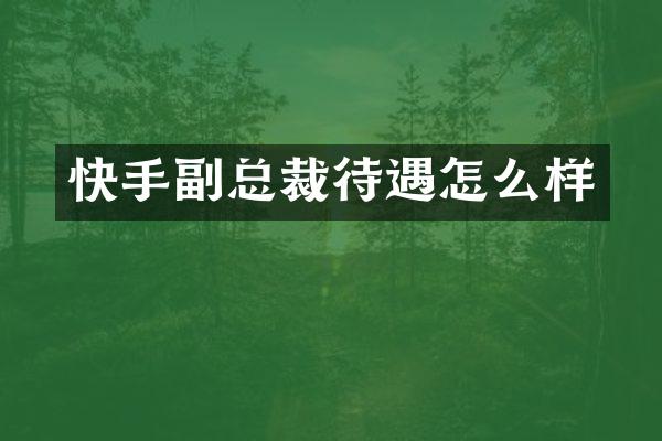 快手副总裁待遇怎么样