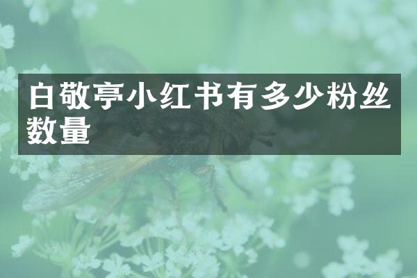 白敬亭小红书有多少粉丝数量