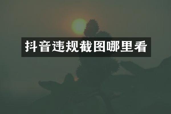 抖音违规截图哪里看