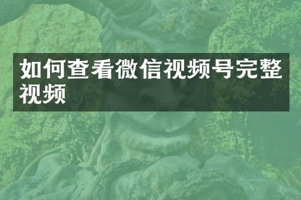 如何查看微信视频号完整视频