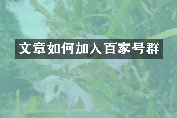 文章如何加入百家号群