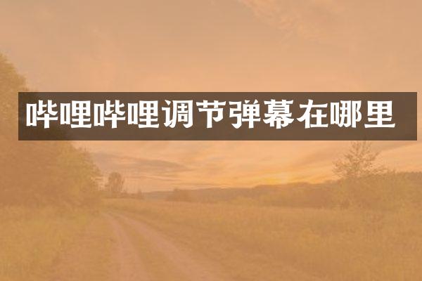 哔哩哔哩调节弹幕在哪里