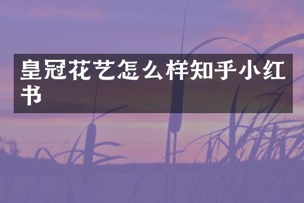 皇冠花艺怎么样知乎小红书