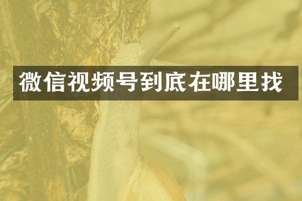 微信视频号到底在哪里找