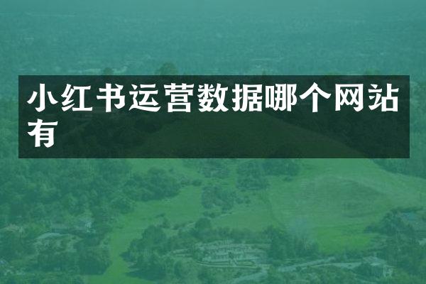 小红书运营数据哪个网站有
