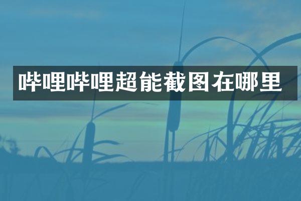 哔哩哔哩超能截图在哪里