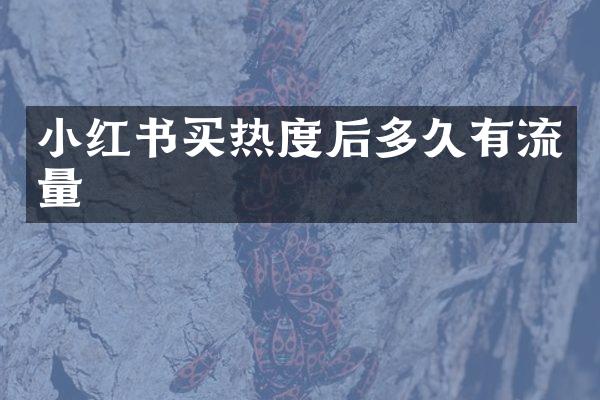 小红书买热度后多久有流量