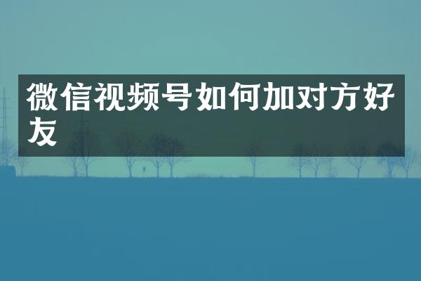 微信视频号如何加对方好友