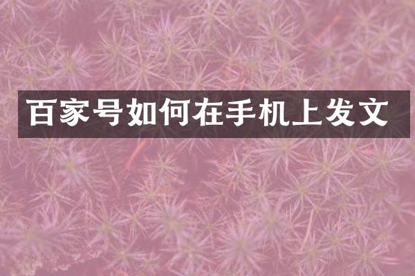 百家号如何在手机上发文