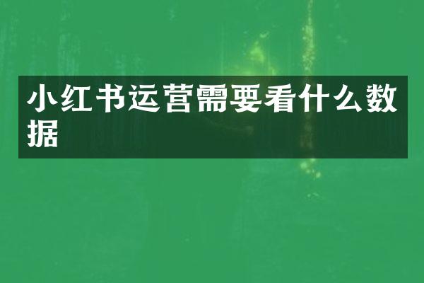 小红书运营需要看什么数据