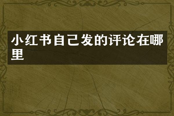 小红书自己发的评论在哪里