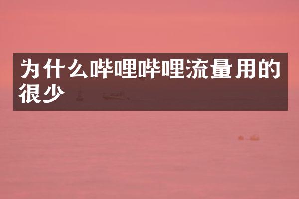 为什么哔哩哔哩流量用的很少
