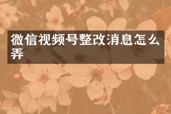 微信视频号整改消息怎么弄