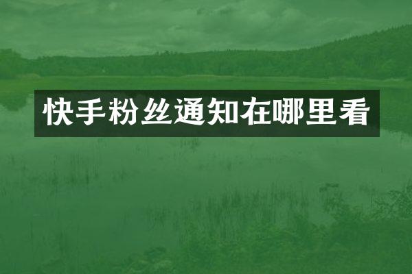 快手粉丝通知在哪里看