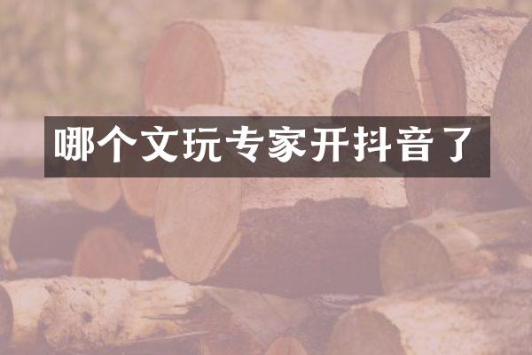 哪个文玩专家开抖音了