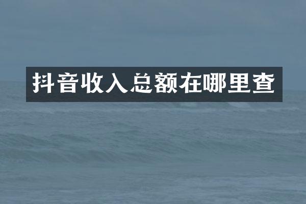 抖音收入总额在哪里查