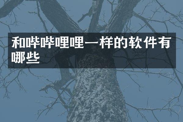 和哔哔哩哩一样的软件有哪些