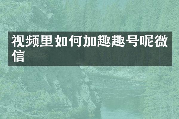 视频里如何加趣趣号呢微信