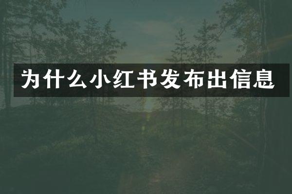 为什么小红书发布出信息