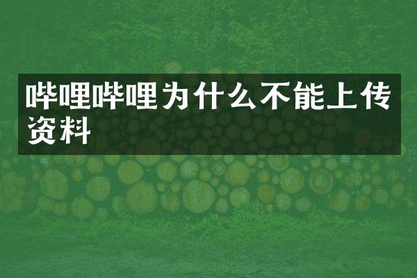 哔哩哔哩为什么不能上传资料
