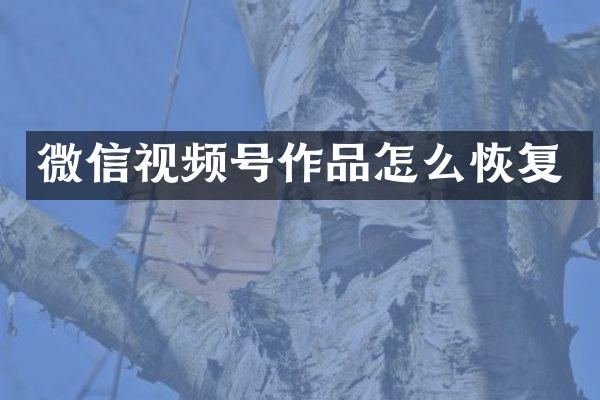 微信视频号作品怎么恢复