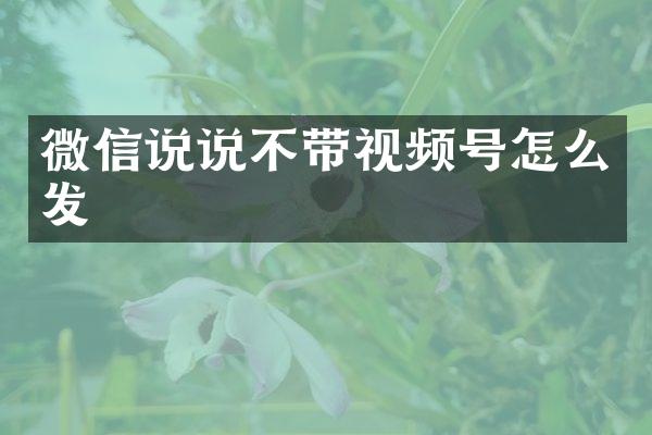 微信说说不带视频号怎么发