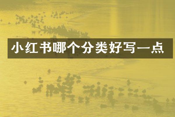 小红书哪个分类好写一点