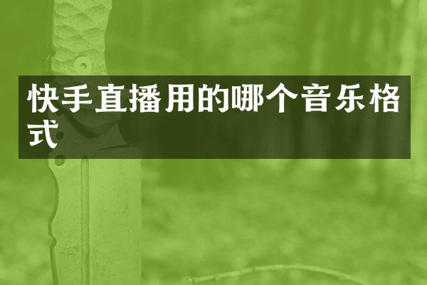 快手直播用的哪个音乐格式