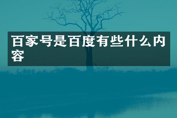 百家号是百度有些什么内容