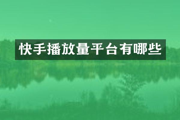 快手播放量平台有哪些