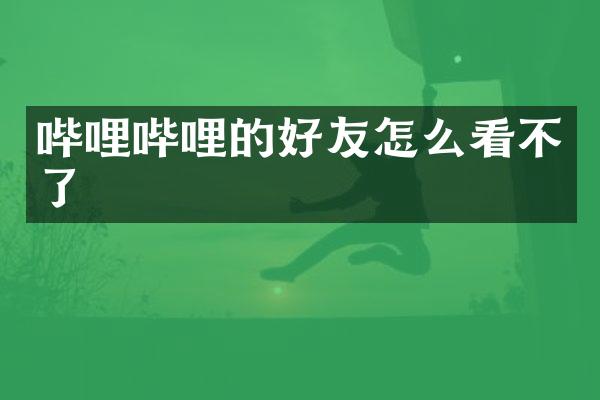 哔哩哔哩的好友怎么看不了